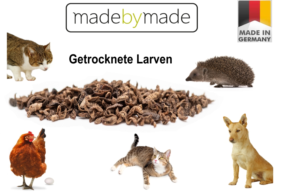 Getrocknete Larven von madebymade