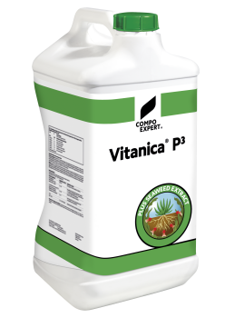 Vitanica P³ 5-0-10 10 Liter