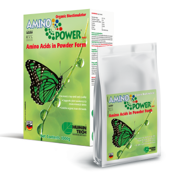 AMINO POWER WSP