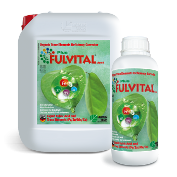 FULVITAL Plus Liquid