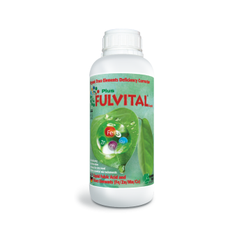 FULVITAL Plus Liquid