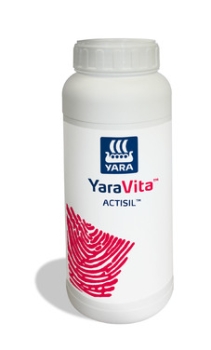 Actisil 0,6 % Si 1 Liter