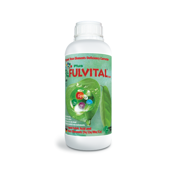 FULVITAL Plus Liquid