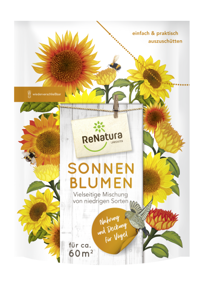 Sonnenblume