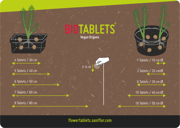 Saniflor Biotablets