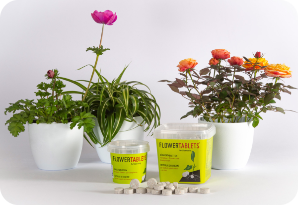 Saniflor Flowertablets